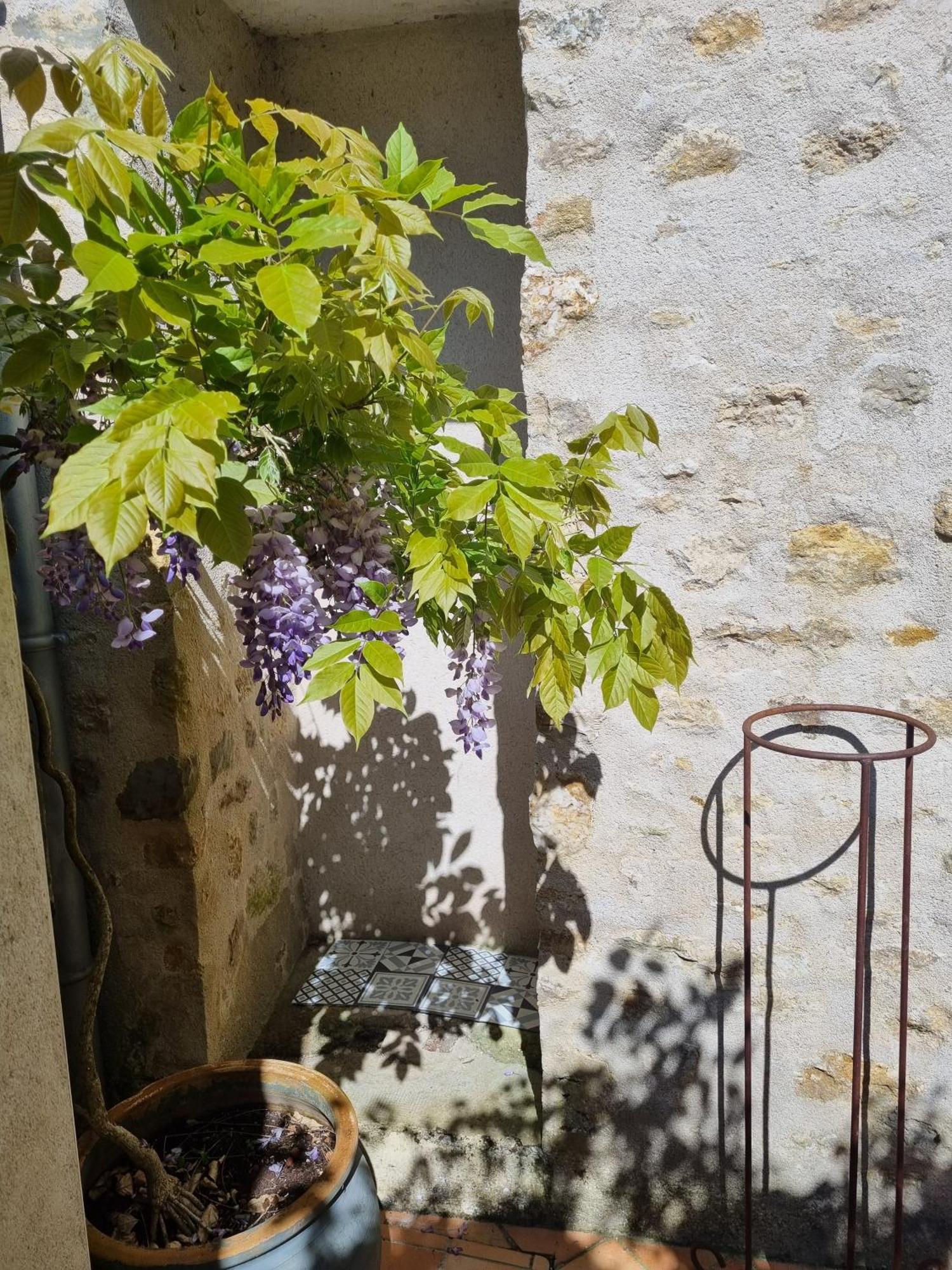 Charmante Maison Ancienne Avec Cour アランソン エクステリア 写真